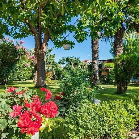 Apartamento Nur 400 Meter Zum Mit Wifi, Terrasse *